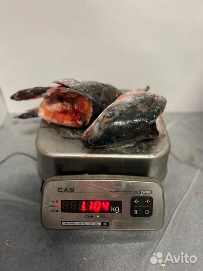 Хребты и головы лосося с/м