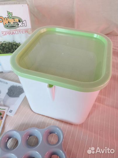 Новый проращиватель 