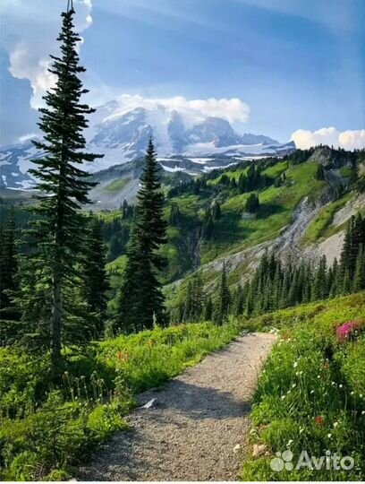 Фотки с принтера(не цветные)