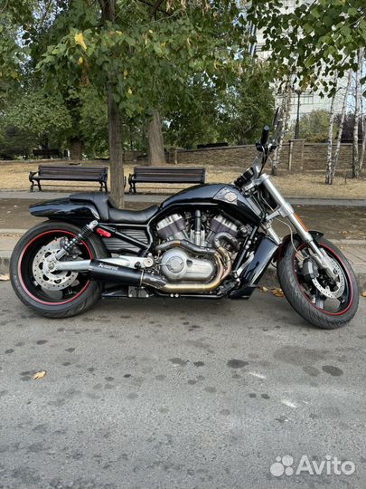 Harley-Devidson V-Rod Muscle