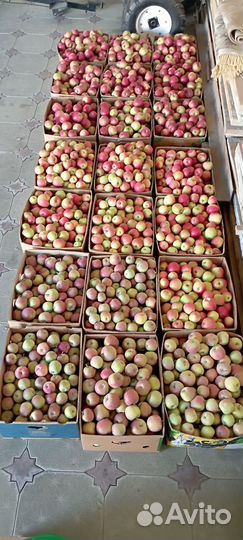 Яблоки экологически чистые