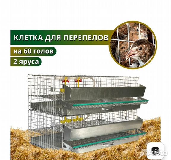 Клетка для перепелок