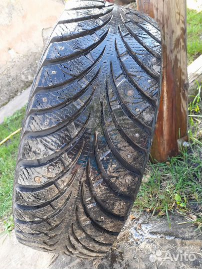 Sava Eskimo Stud 165/65 R16