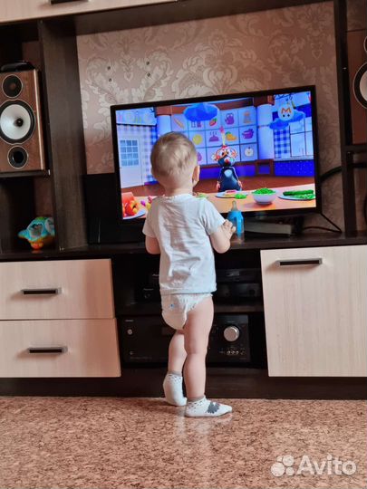 Integra dtr 20.4 monitor audio bx2 mon.aubio asw10