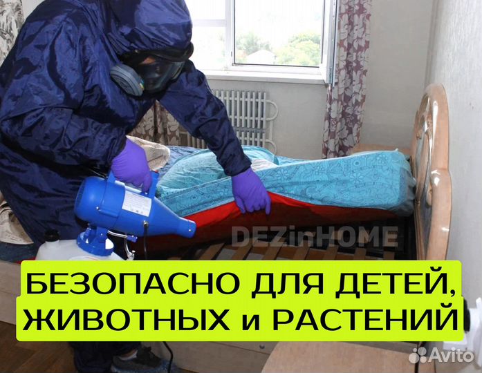 Уничтожение клопов, тараканов, Дезинфекция