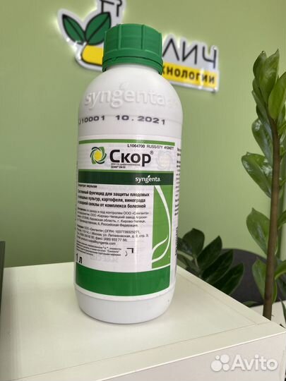Скор, кэ фунгицид