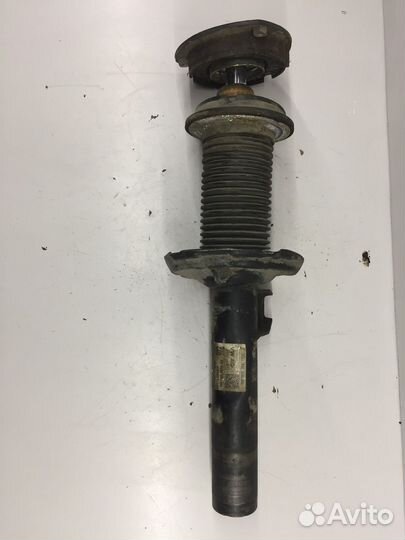 Амортизатор передний (Volkswagen Passat)