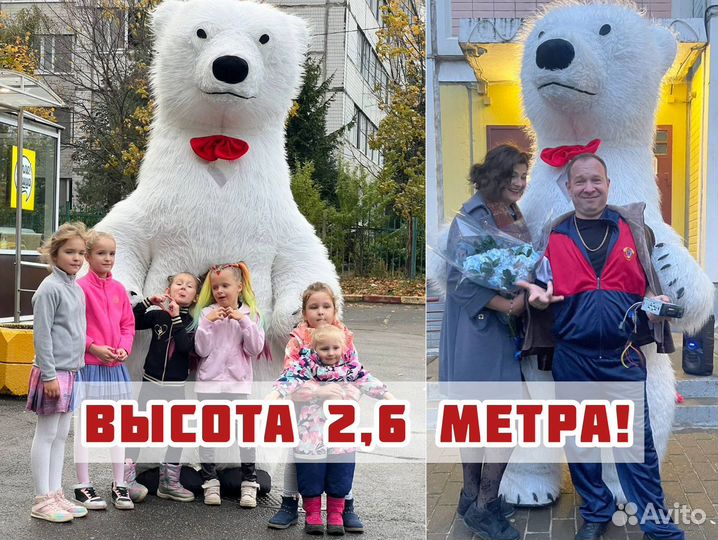 Белый мишка поздравление Медведь на день рождения