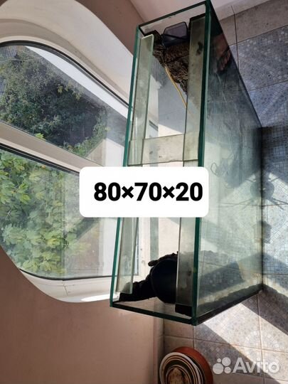 Аквариум,Террариум