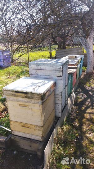 Продаються ульи, медогонка, рамки