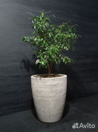 Горшки, Вазоны, Кашпо под заказ из бетона