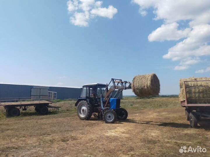 Продам сено в рулонах