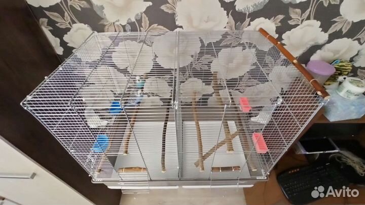 Клетка большая iMac Tasha