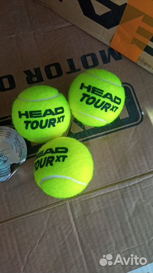 Head tour XT теннисные мячи