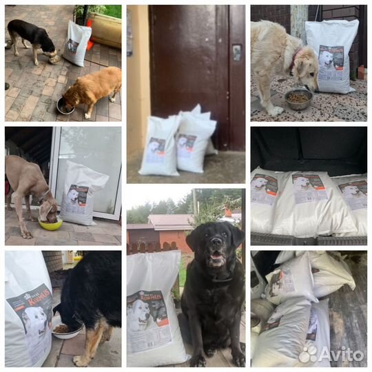 Корм для собак крупных и средних пород