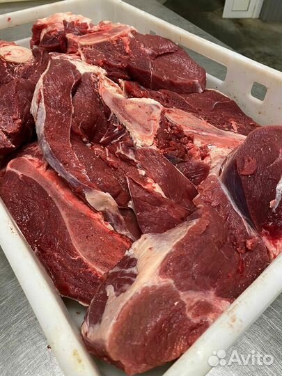 Мясо говядина