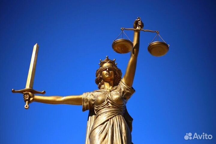 Миграционный юрист