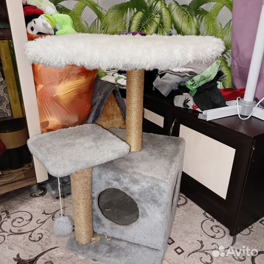 Когтеточка