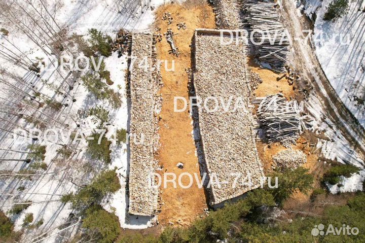 Дрова березовые колотые