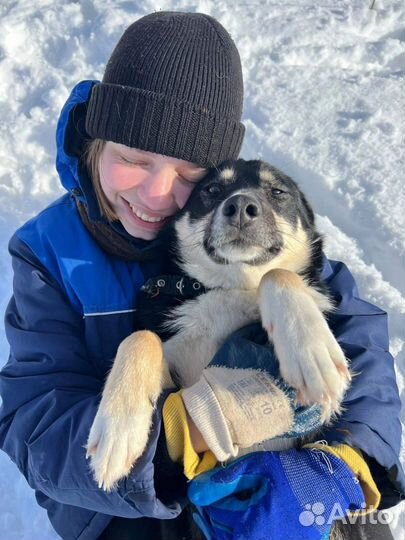 Ласкуша для семьи