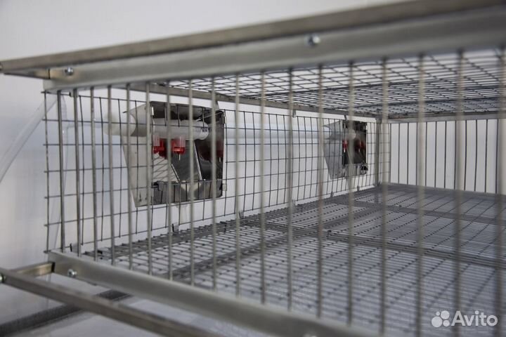 Клетка на 220 перепелов с системой пометоудаления