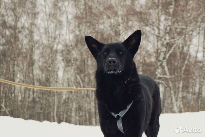 Манюня в поисках самых добрых ручек