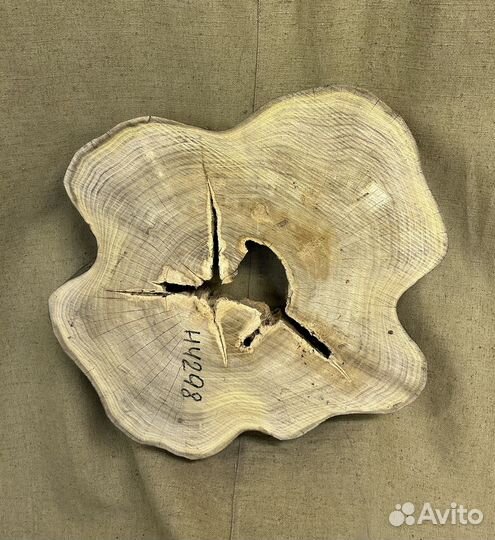 Спил акации