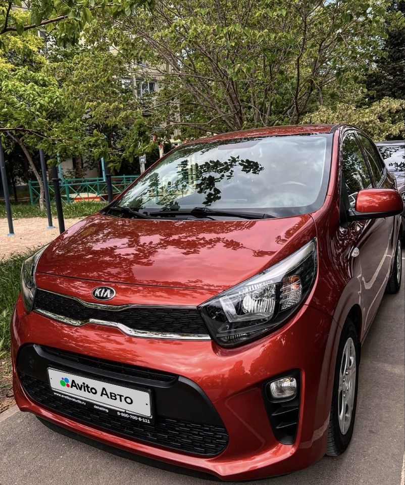 Kia Picanto: фото владельца
