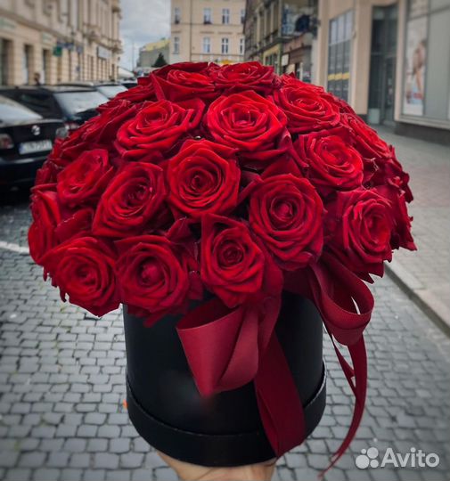 Розы 25 Роза 31 Роза 51 Роза 101 Ароматные Розы