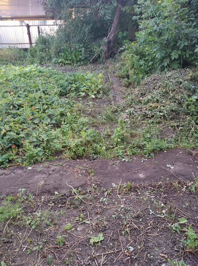 Дом 38,4 м² на участке 2 сот.