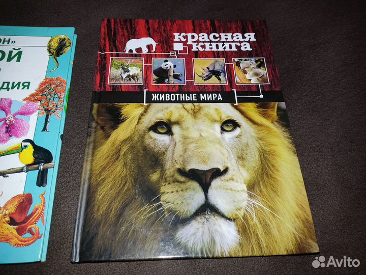 Детские энциклопедии