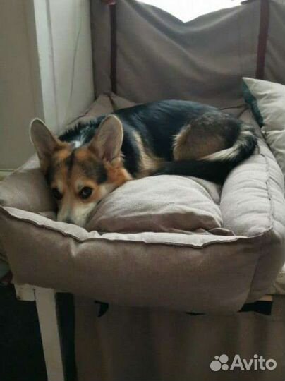 Лежанка для собак и кошек