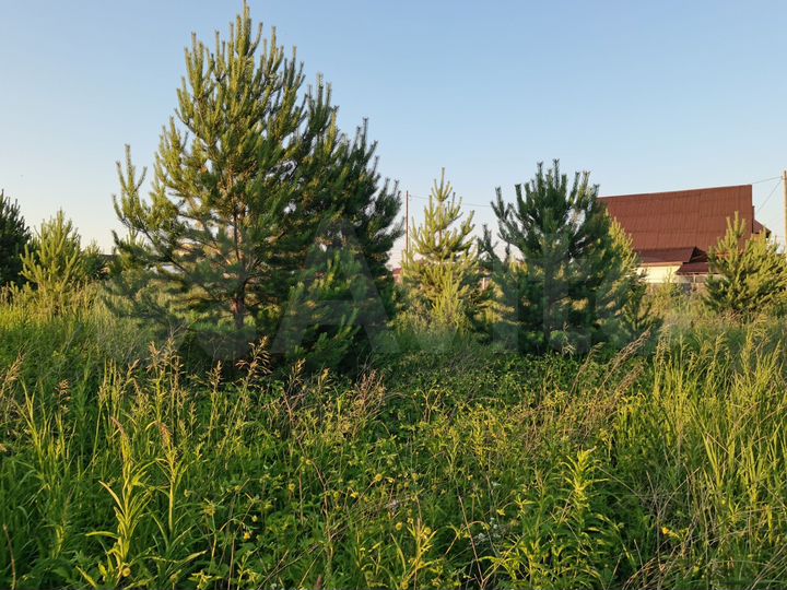 Участок 20 сот. (ИЖС)