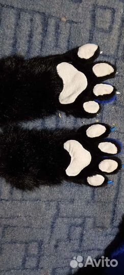 Фурсьют раптора