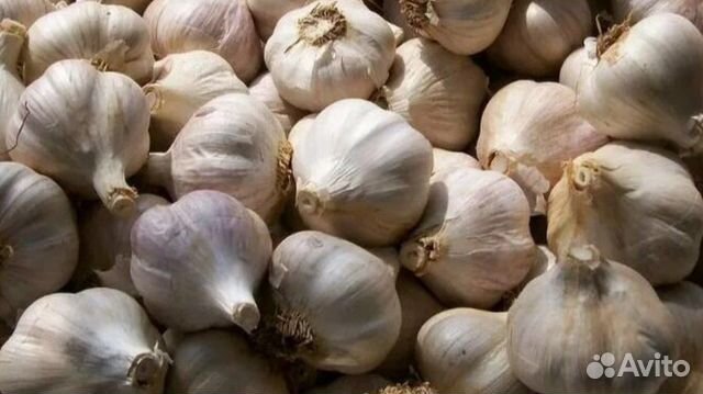 Чеснок