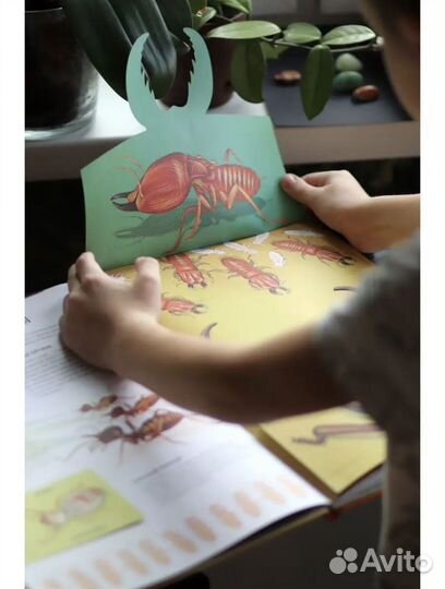 Новые книги для детей