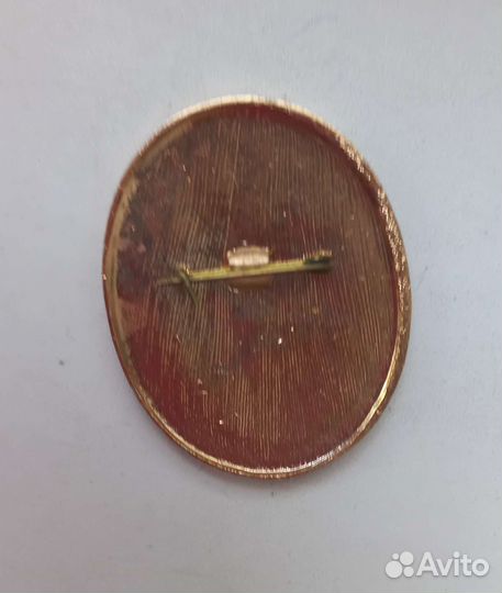 Значок Сев.Зап.увдна транспорте