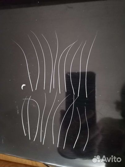 Кошачьи усы