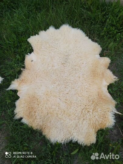 Шкуры овец