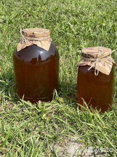 Мёд в куботейнерах