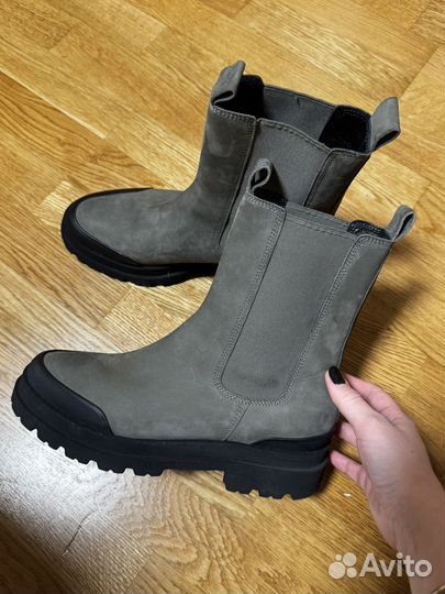 Челси kennel & schmenger