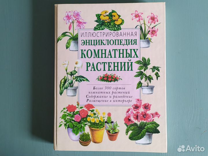 Книга Энциклопедия комнатных растений
