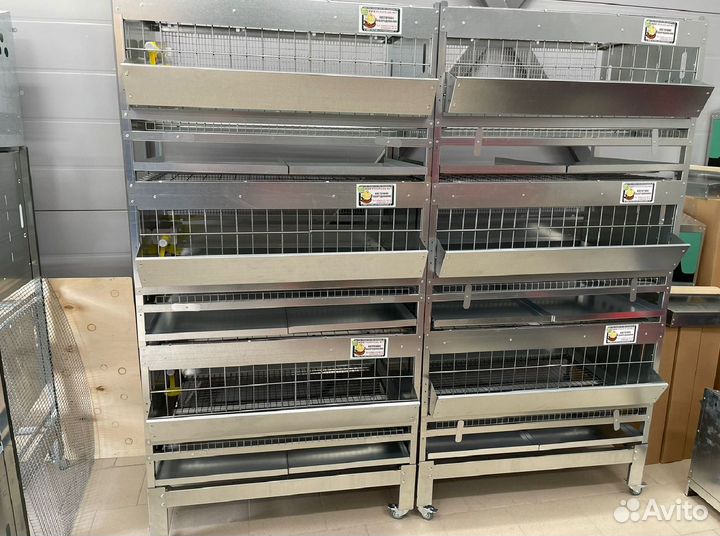 Клетка для перепелов от производителя