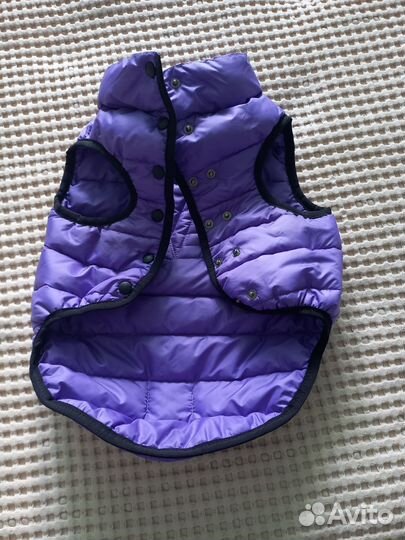 Одежда для маленьких собак