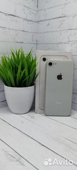 Apple iPhone 8 64Gb white