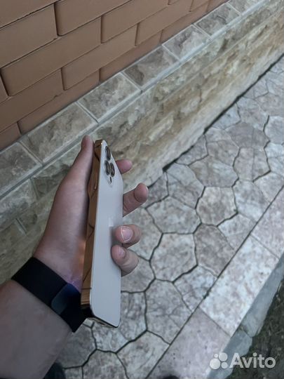 iPhone 12 Pro Max, 256 ГБ
