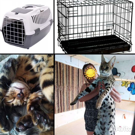 Переноска и клетка для животных, кошек, собак