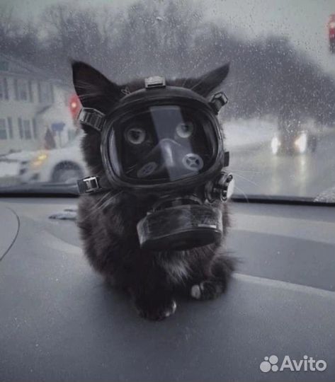 Арт роблокс бесплатно