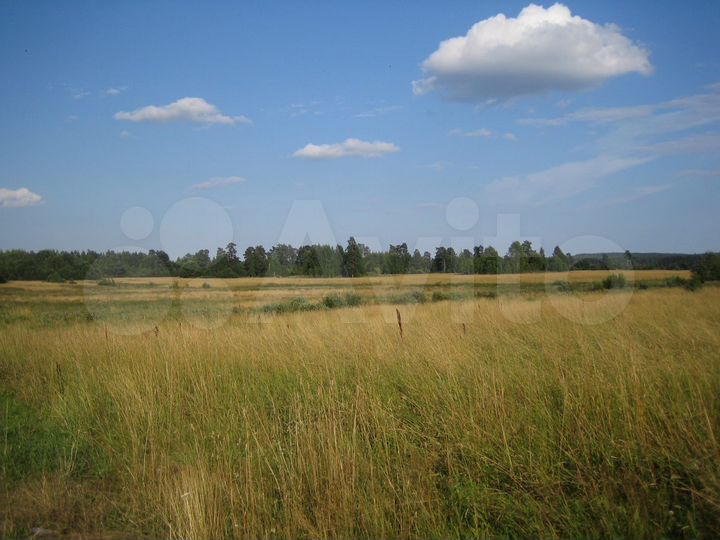 Участок 2 га (СНТ, ДНП)