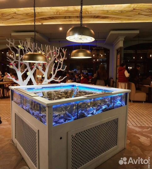 Аквариум для магазина и ресторана